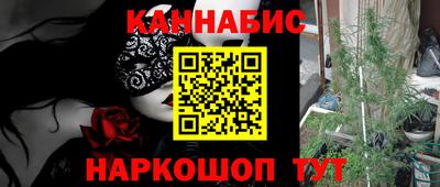 ECSTASY Гатчина