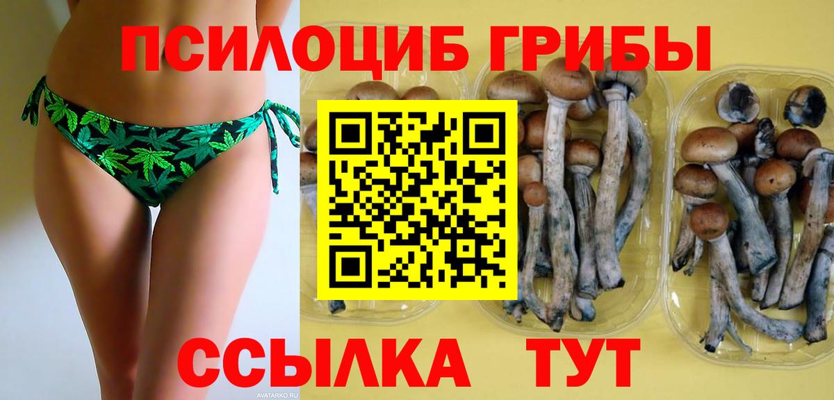 Псилоцибиновые грибы Magic Shrooms  Вход с VPN  Горячий Ключ  Псилоцибиновые грибы Psilocybine cubensis 