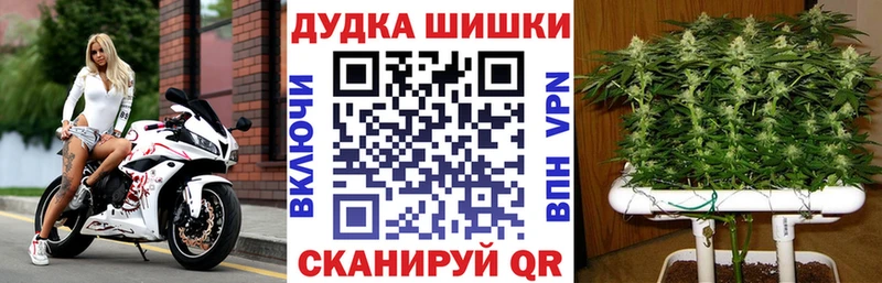 Шишки марихуана ГИДРОПОН  Горячий Ключ 